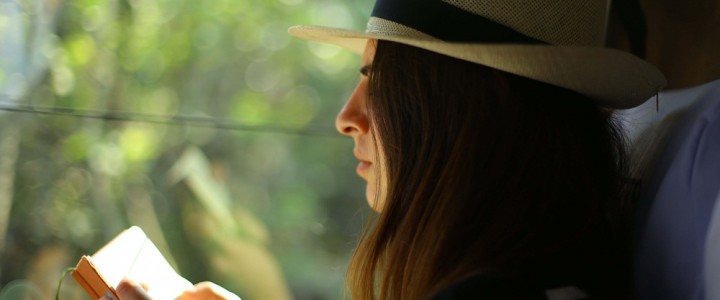 Where does the trust in blogs come from?